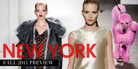 Fall 2011 Preview New York