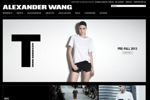 Alexander Wang Canadian e-commerce