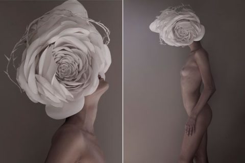 Roses by Exhibit Luminato Mark Segal for Lancôme