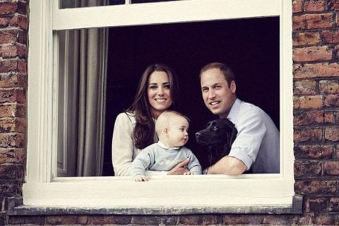 Cambridge royal family portrait March 2014