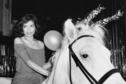 BBBianca Jagger Birthday Horse