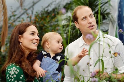 Cambridge royal family portrait July 2014