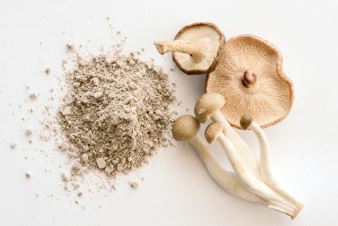 Mushroom Mask