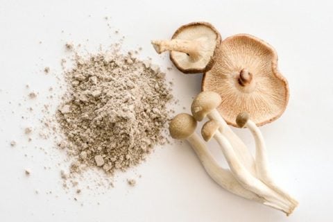 Mushroom Mask