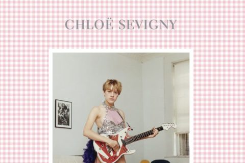 Chloe Sevigny Book Cover