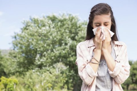 Pollen Allergy Relief