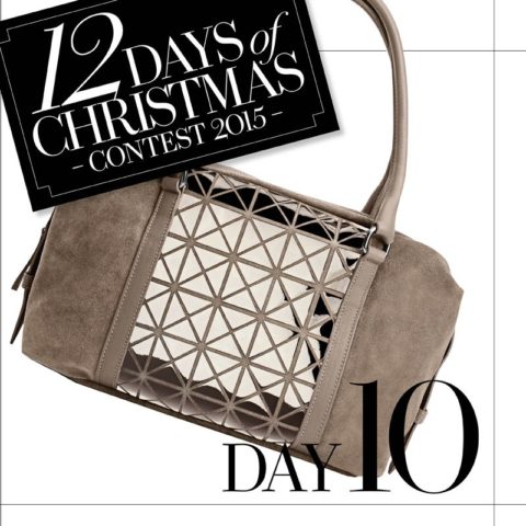 12 days of christmas giveaway 2015