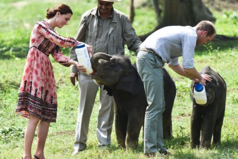 Kate Middleton India Safari Date