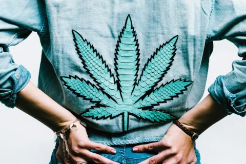 marijuana fashion trend