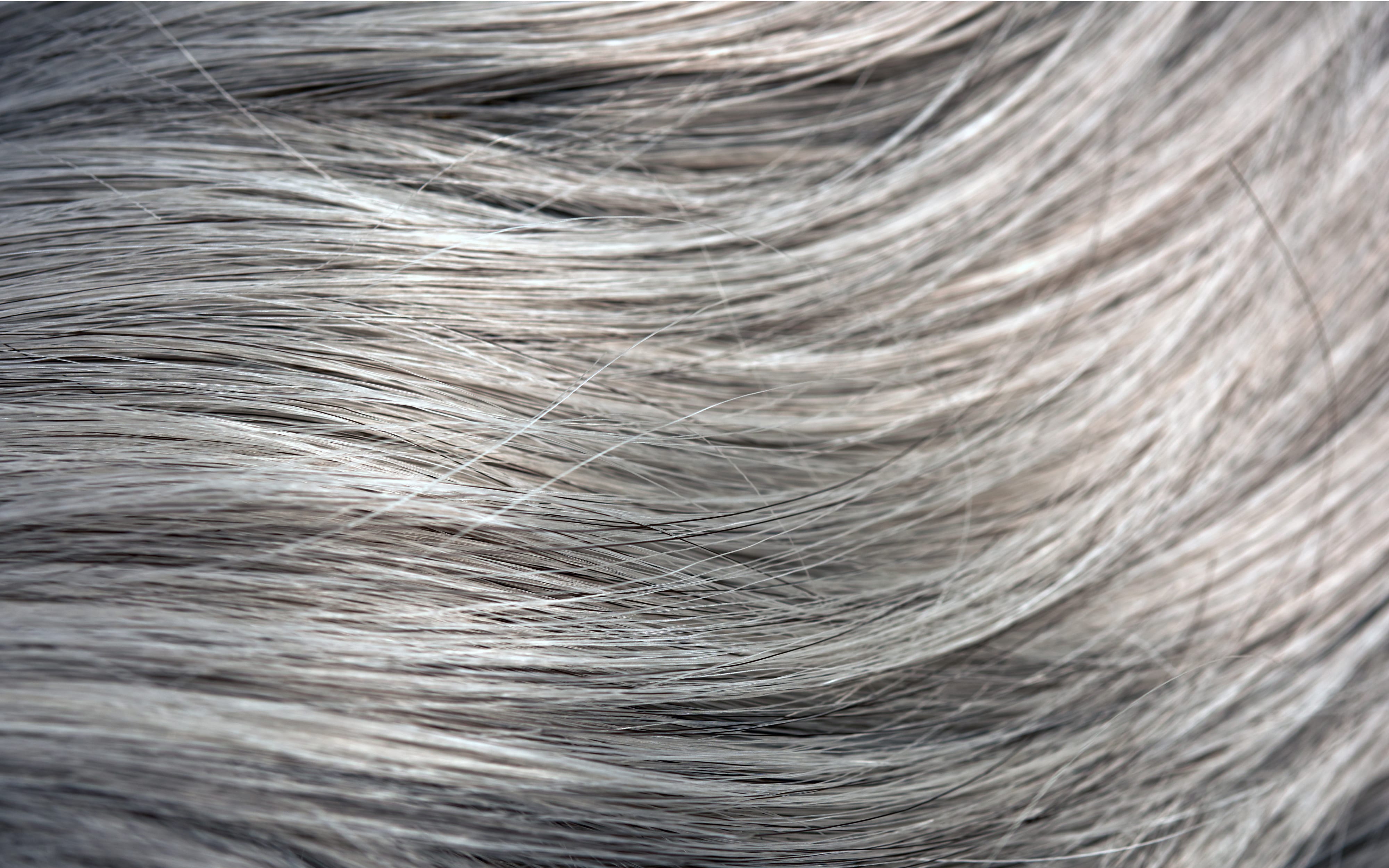 A New Grey Hair Treatment That Claims It Can Curb The Process - FASHION  Magazine