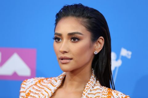 shay mitchell miscarriage