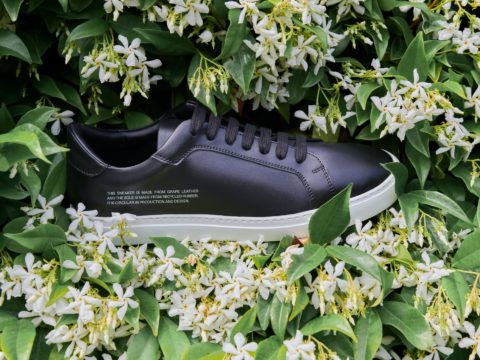 sustainable sneakers