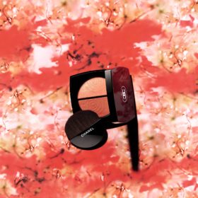 Chanel Fleur de Printemp blush palette