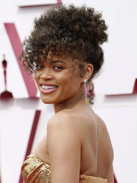 93rd Annual Academy Awards - Andra Day
