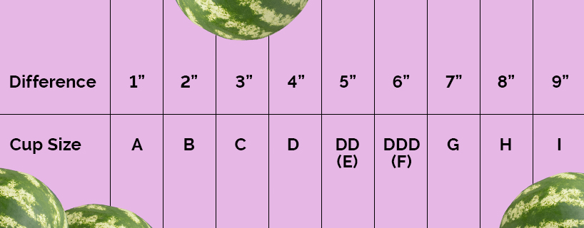 Measuring chart that determines your bra cup size