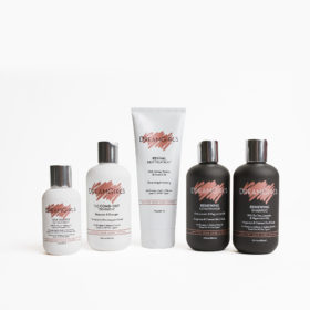 dreamgirls healthy hair care system