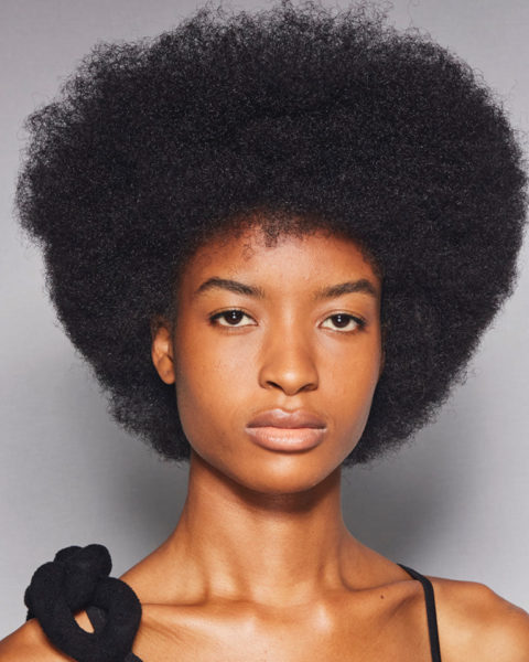 natural afro hair style growth