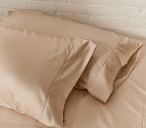 SmartSilk 100% Silk Pillow Cases