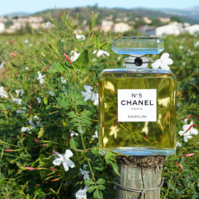 how and where chanel no. 5 is made