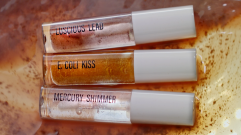 Three lipglosses with the titles Luscious Lead, E.Coli Kiss and Mercury Shimmer.