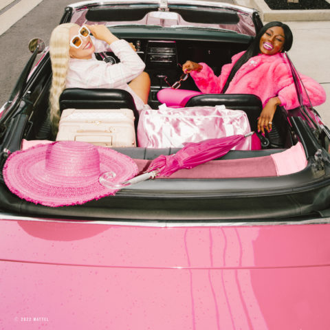 Hillary McMillan Barbie Pink Convertible