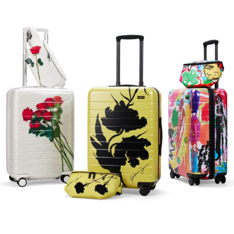 Away designer collection suitcases
