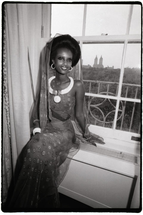 Iman Getty Black History & Culture Collection