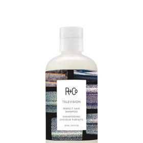 Best shampoo for oily hair 2023, R+Co Television Perfect Hair Shampoo